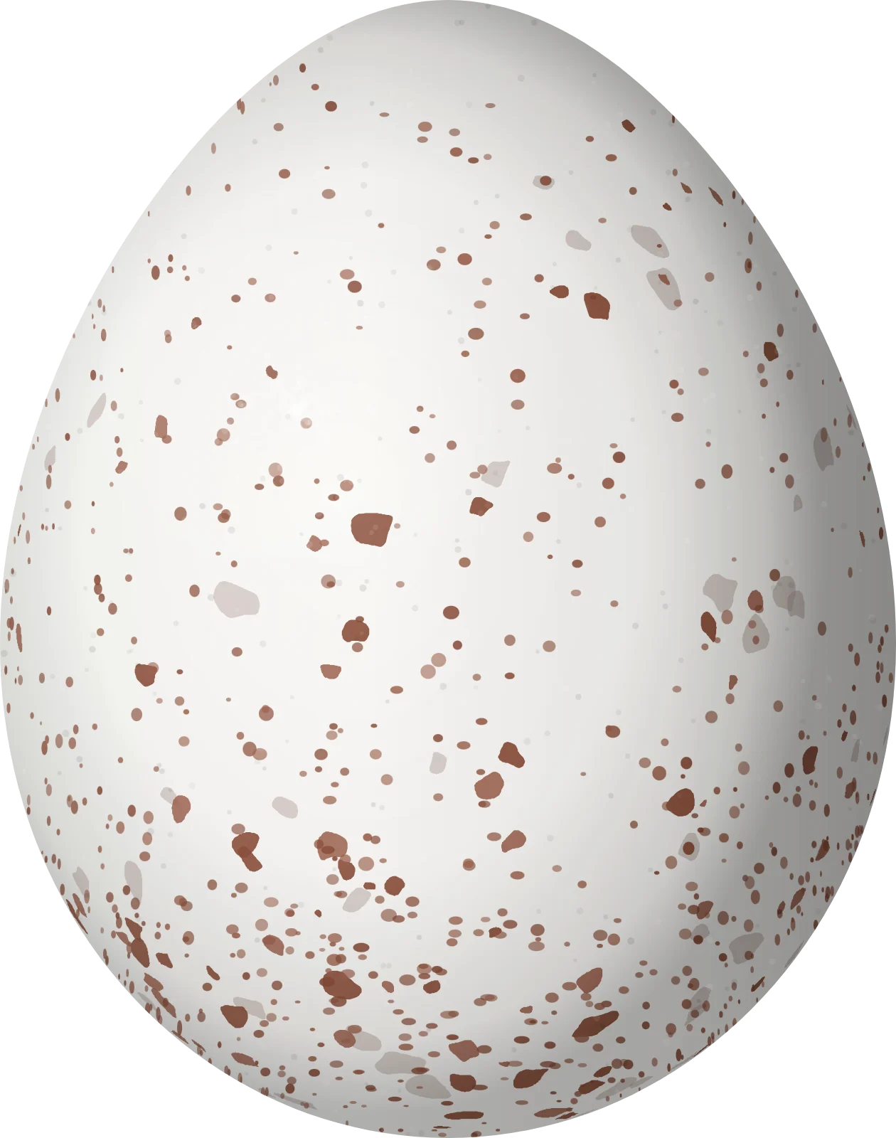 Illustration of a Black-crested Titmouse (Baeolophus atricristatus) egg, 17.9 × 14.1 mm