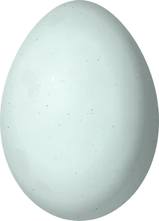Illustration of a Black-crowned Night-Heron (Nycticorax nycticorax) egg, 51.5 × 37 mm
