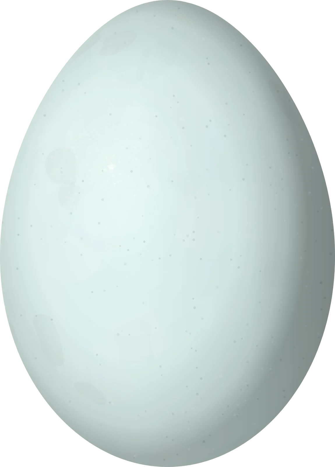 Illustration of a Black-crowned Night-Heron (Nycticorax nycticorax) egg, 51.5 × 37 mm
