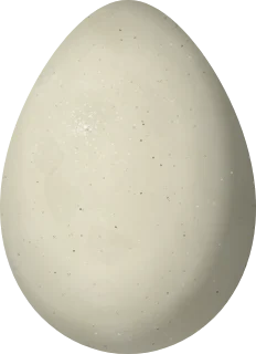 Illustration of a Black Curassow (Crax alector) egg, 83.3 × 60.5 mm