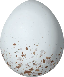 Illustration of a Black-eared Hemispingus (Sphenopsis melanotis) egg, 19.5 × 16 mm