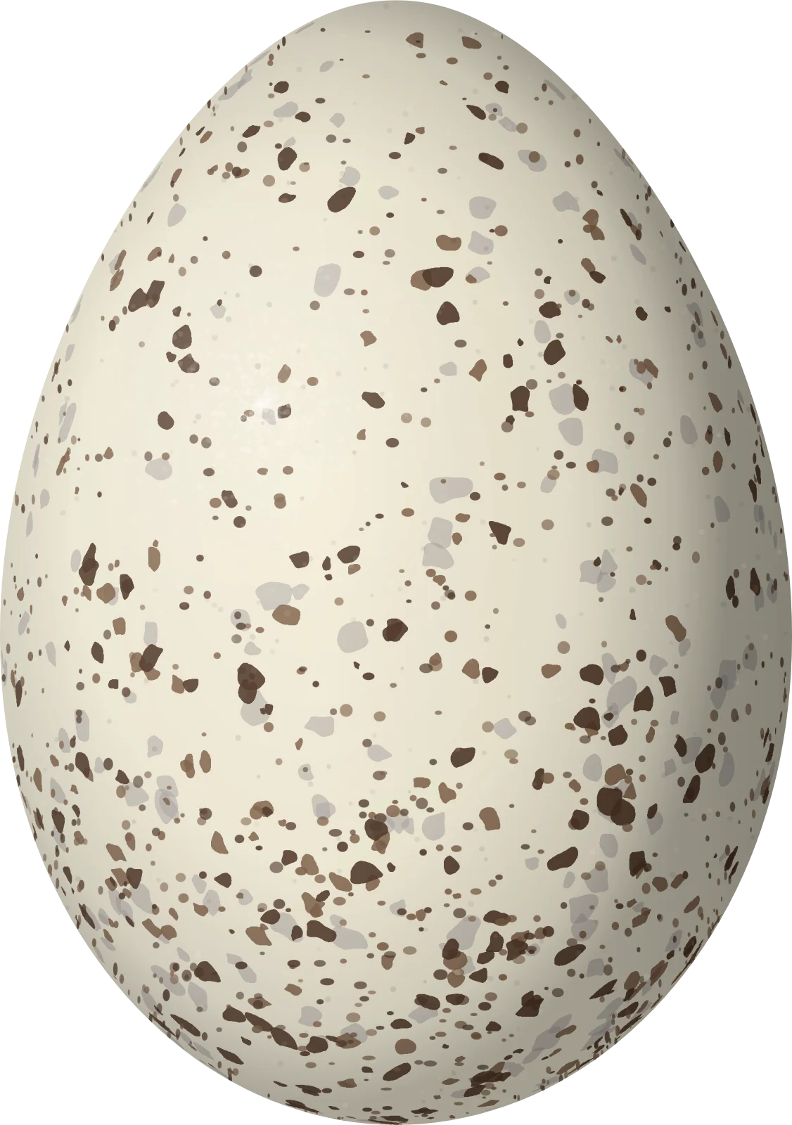 Illustration of a Black-faced Tanager (Schistochlamys melanopis) egg, 23.3 × 16.4 mm