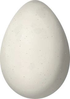 Illustration of a Black Guan (Chamaepetes unicolor) egg, 72 × 51.1 mm