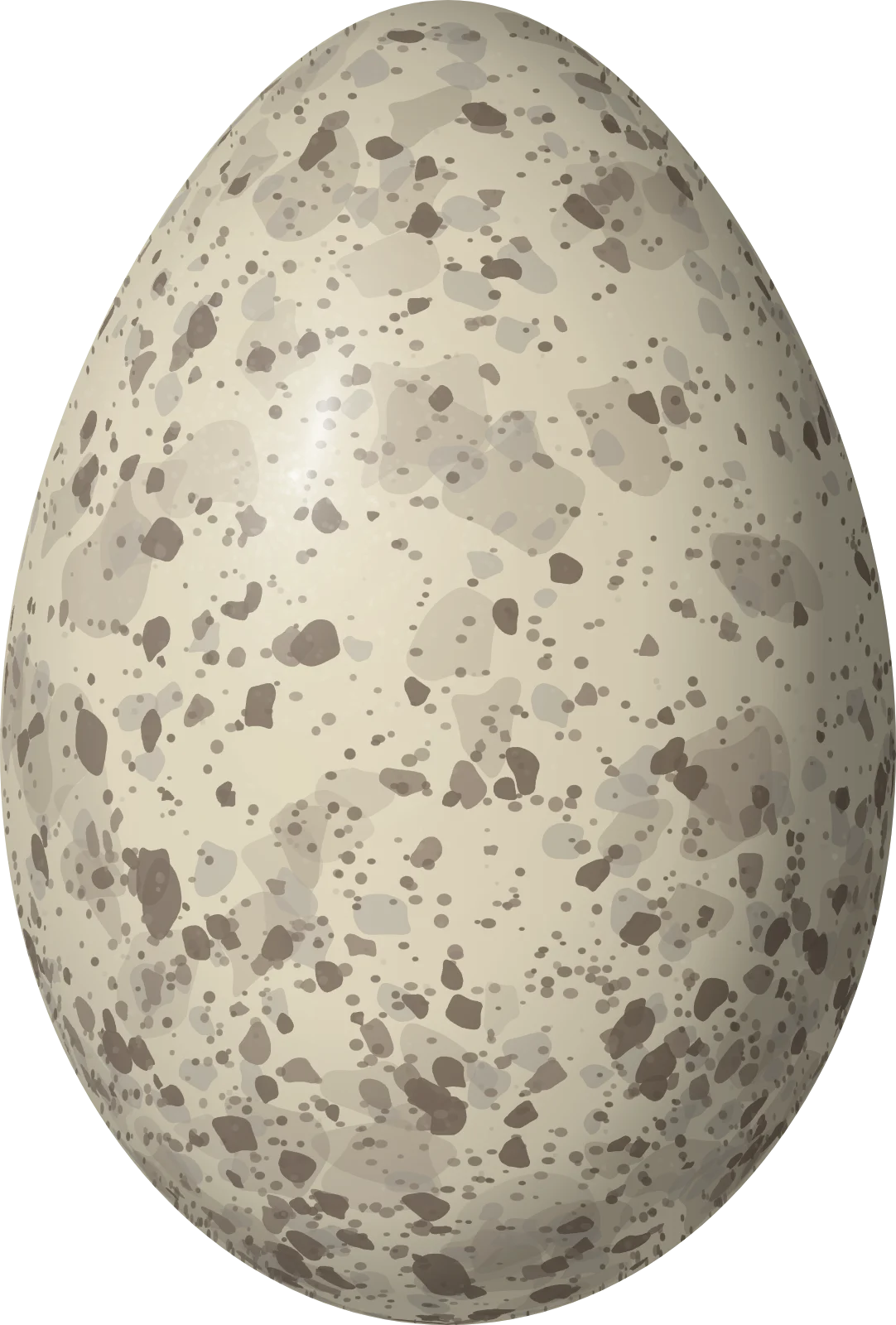 Illustration of a Black-headed Berryeater (Carpornis melanocephala) egg, 34 × 23 mm