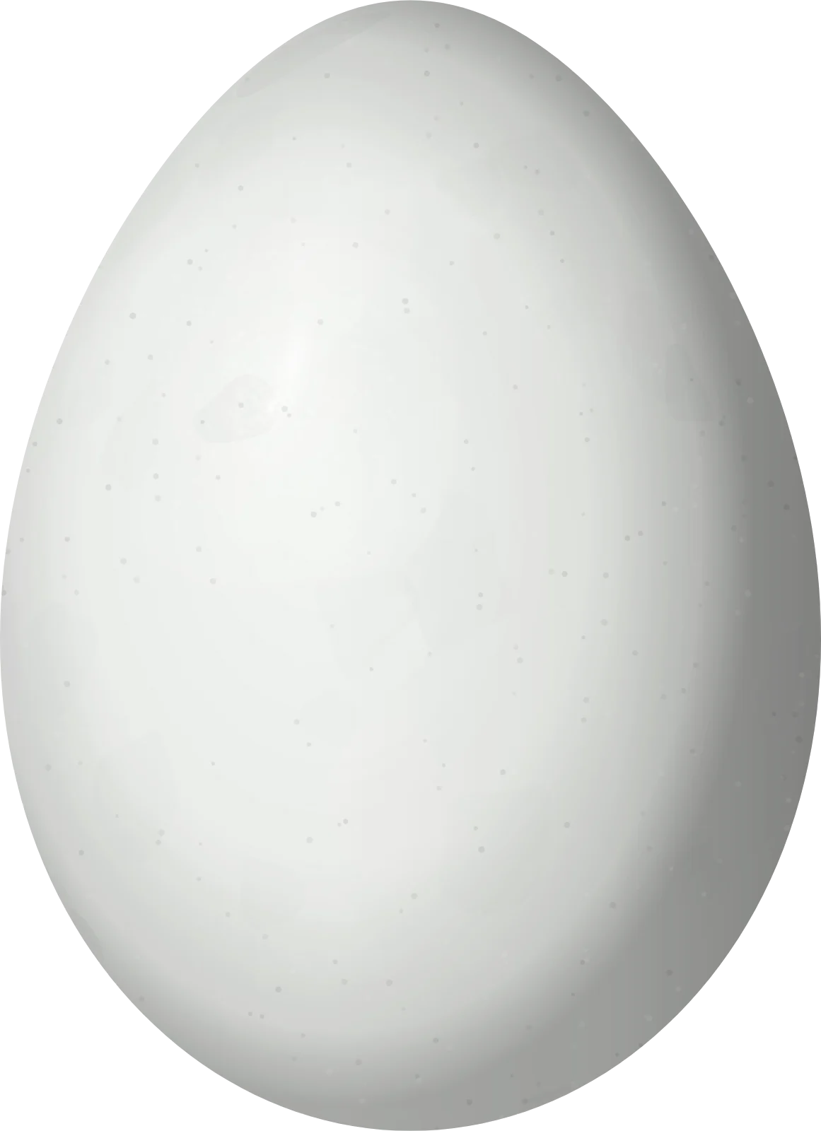 Illustration of a Black-headed Brushfinch (Arremon atricapillus) egg, 25.5 × 18.5 mm