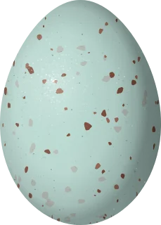 Black-headed Grosbeak egg, 24.7 × 17.7 mm