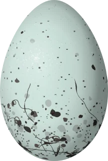 Illustration of a Black-headed Saltator (Saltator atriceps) egg, 27.7 × 18.7 mm