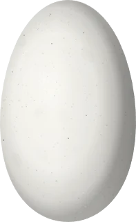 Illustration of a Black Inca (Coeligena prunellei) egg, 16.1 × 9.9 mm