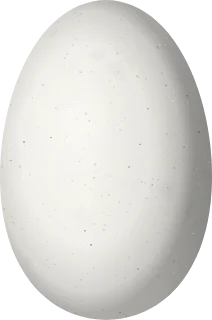 Illustration of a Black Metaltail (Metallura phoebe) egg, 12.7 × 8.4 mm