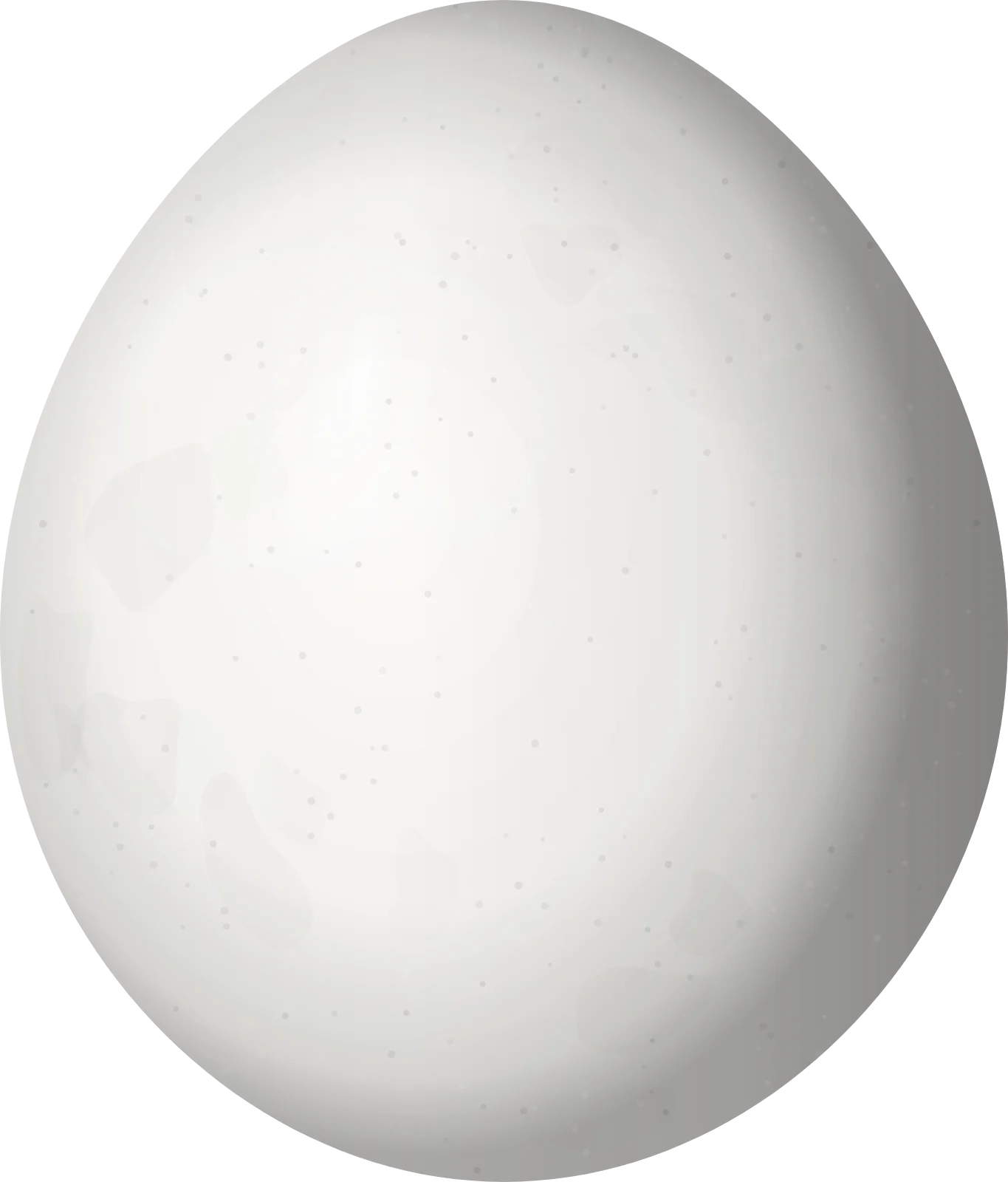 Illustration of a Black Nunbird (Monasa atra) egg, 27.2 × 23.2 mm