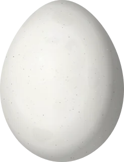 Black Phoebe egg, 18.7 × 14.4 mm