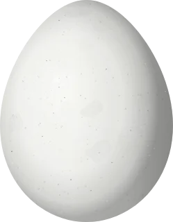 Illustration of a Black-rumped Waxbill (Estrilda troglodytes) egg, 13.1 × 10.2 mm