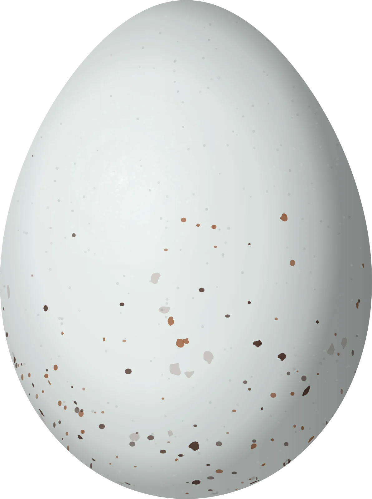 Illustration of a Black Siskin (Spinus atratus) egg, 17.7 × 13.2 mm