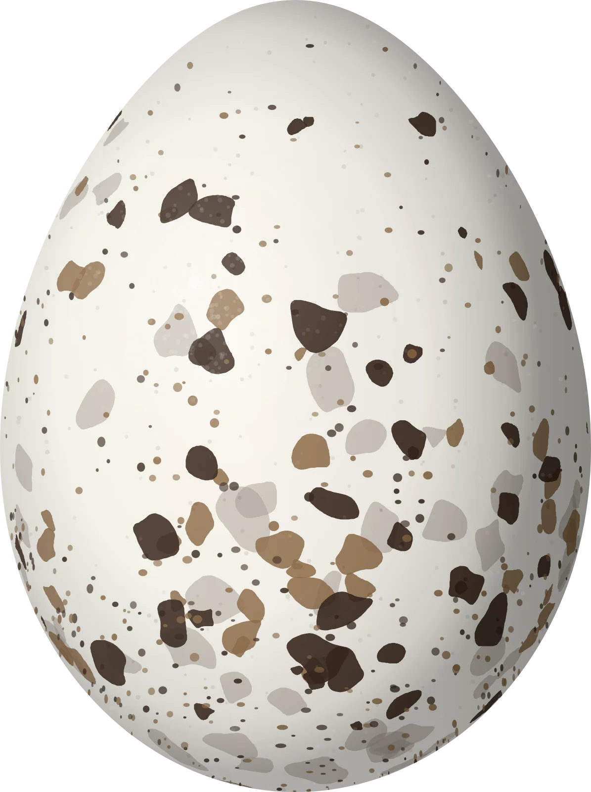 Illustration of a Black-throated Green Warbler (Setophaga virens) egg, 17 × 12.7 mm