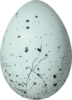 Illustration of a Black-throated Grosbeak (Saltator fuliginosus) egg, 26.5 × 19 mm