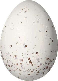 Illustration of a Black-throated Wren (Pheugopedius atrogularis) egg, 20.2 × 14.5 mm