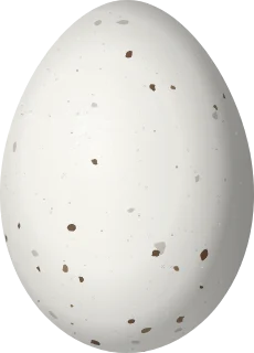 Black-whiskered Vireo egg, 21 × 15.1 mm