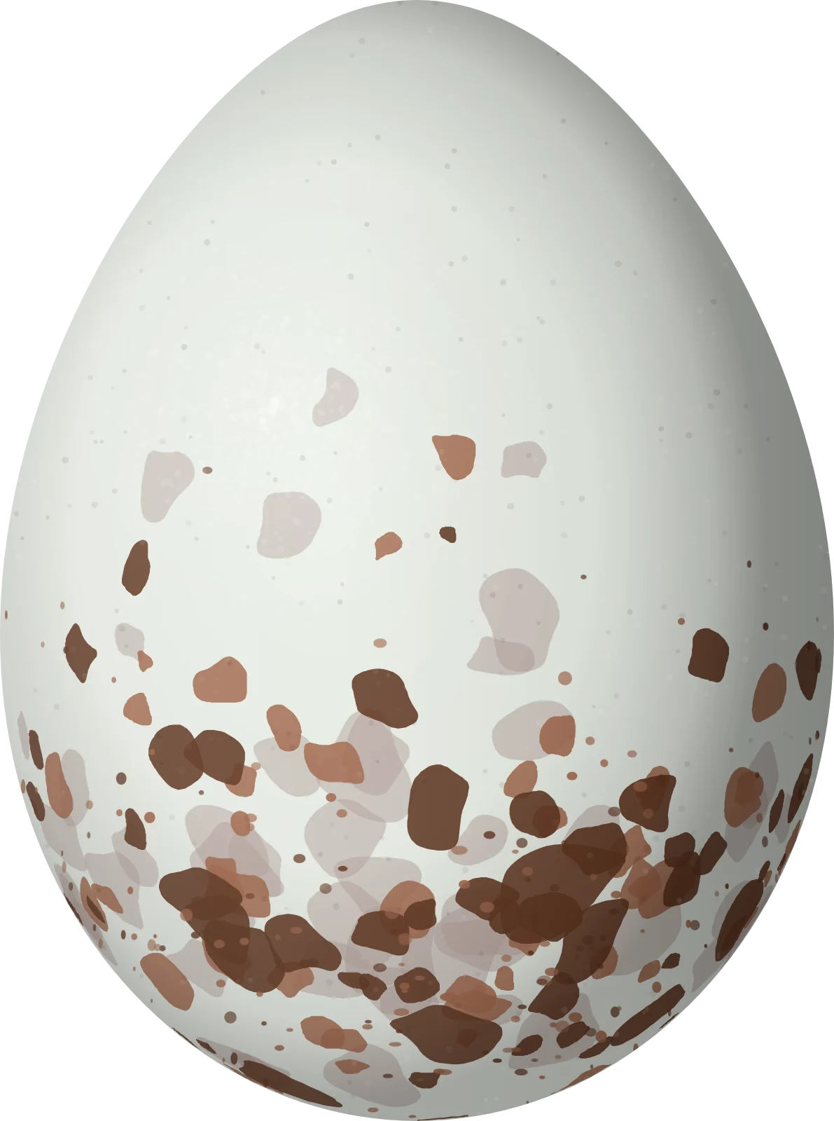 Illustration of a Blackburnian Warbler (Setophaga fusca) egg, 17.2 × 12.8 mm