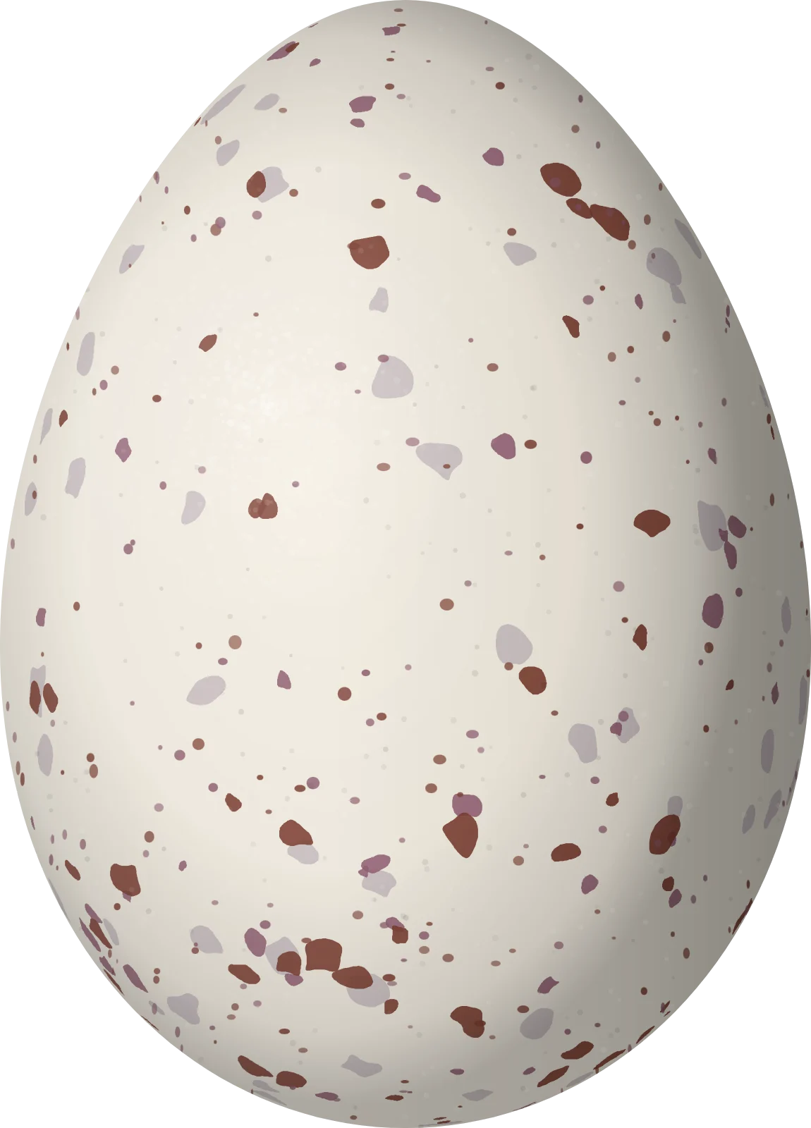 Illustration of a Blackish Antbird (Cercomacroides nigrescens) egg, 21 × 15.1 mm