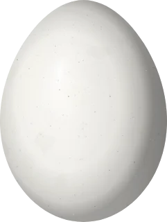 Illustration of a Blood-colored Woodpecker (Veniliornis sanguineus) egg, 20.3 × 15.3 mm