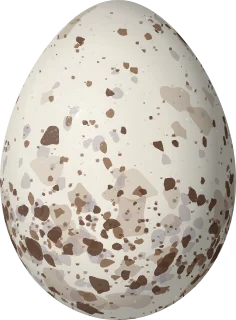 Illustration of a Blue-and-black Tanager (Tangara vassorii) egg, 20.6 × 15.2 mm