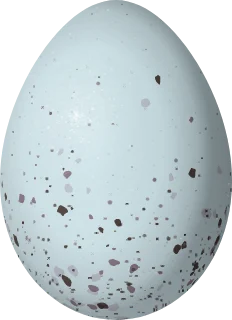 Illustration of a Blue-backed Tanager (Cyanicterus cyanicterus) egg, 24.7 × 17.9 mm