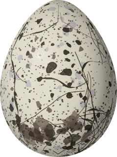 Illustration of a Blue-billed White Tern (Gygis candida) egg, 42.5 × 31.8 mm
