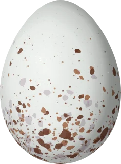 Illustration of a Blue-black Grosbeak (Cyanoloxia cyanoides) egg, 23.5 × 17.3 mm