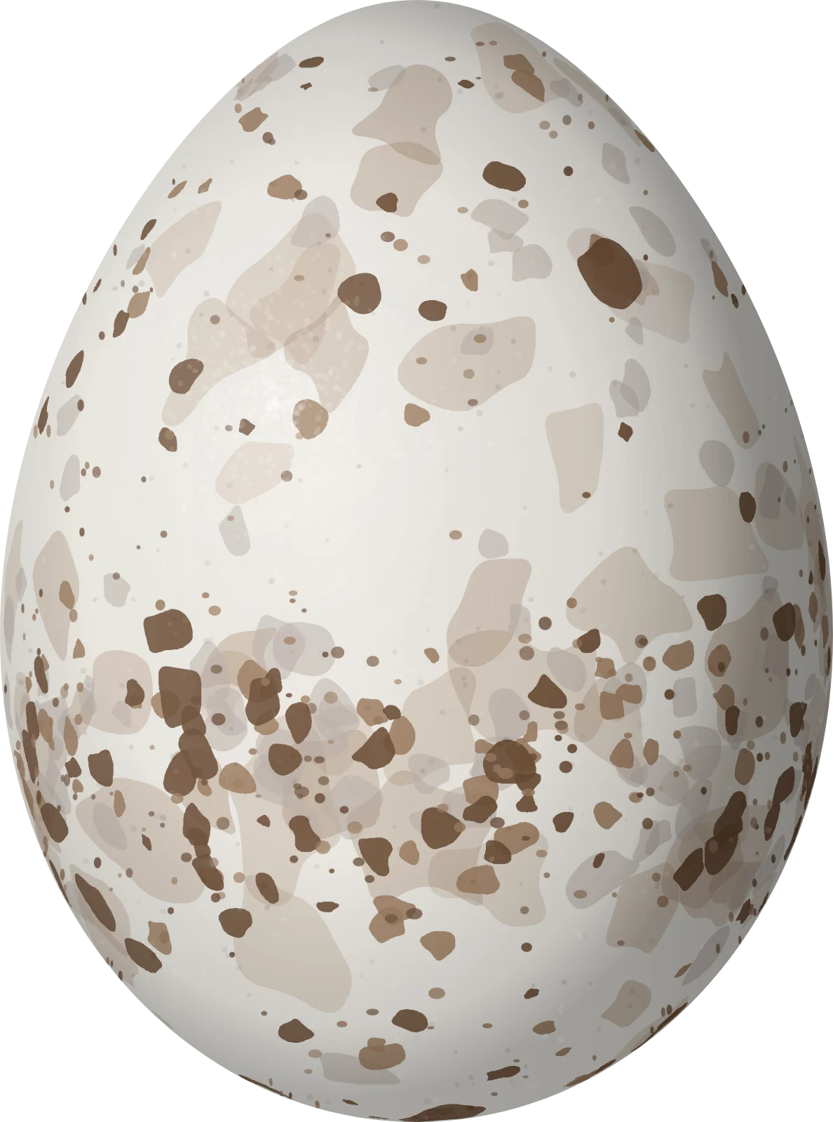 Illustration of a Blue-capped Manakin (Lepidothrix coronata) egg, 19.4 × 14.4 mm