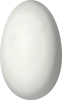 Illustration of a Blue-capped Puffleg (Eriocnemis glaucopoides) egg, 13 × 8 mm