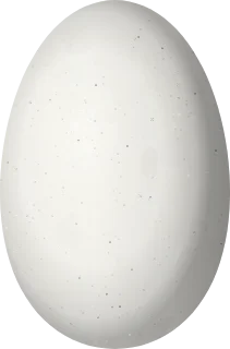 Illustration of a Blue-chested Hummingbird (Polyerata amabilis) egg, 13.5 × 8.9 mm
