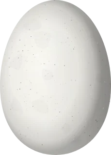 Illustration of a Blue-chinned Sapphire (Chlorestes notata) egg, 14 × 10 mm