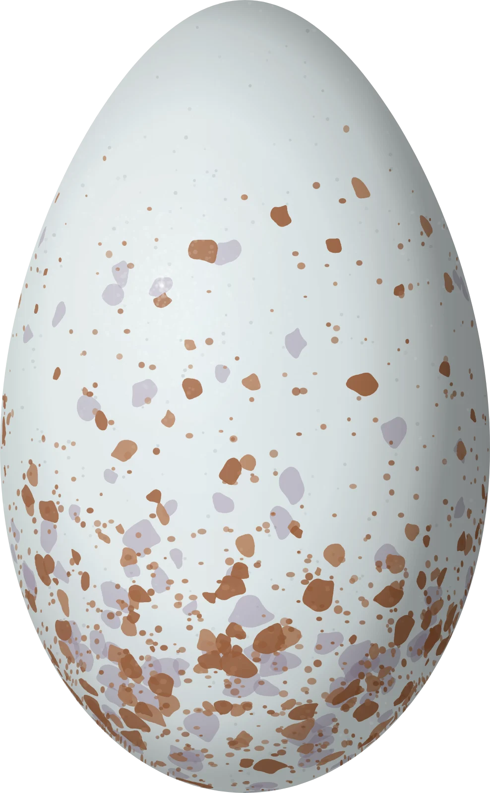 Illustration of a Blue Cotinga (Cotinga nattererii) egg, 34 × 21 mm