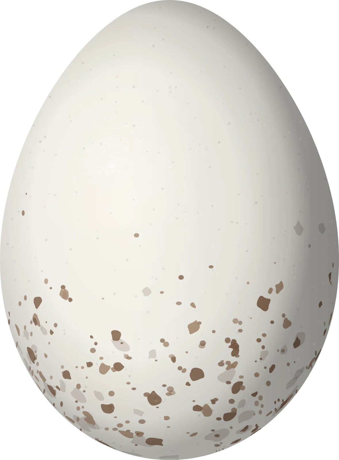 Illustration of a Blue-crowned Chlorophonia (Chlorophonia occipitalis) egg, 19 × 14 mm