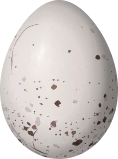 Illustration of a Blue Finch (Rhopospina caerulescens) egg, 21.7 × 16.1 mm