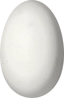 Illustration of a Blue-fronted Lancebill (Doryfera johannae) egg, 13.5 × 8.9 mm