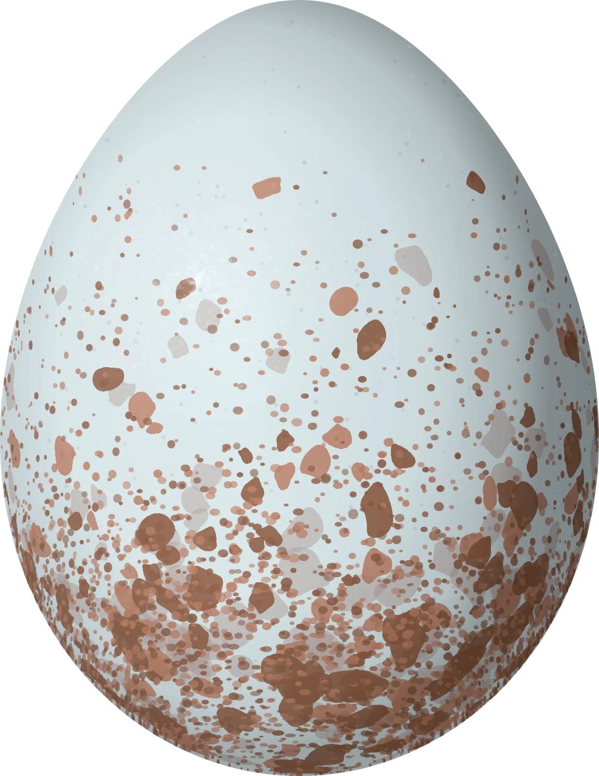 Illustration of a Blue-gray Gnatcatcher (Polioptila caerulea) egg, 14.5 × 11.2 mm