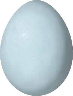 Blue Grosbeak egg, 22 × 16.8 mm