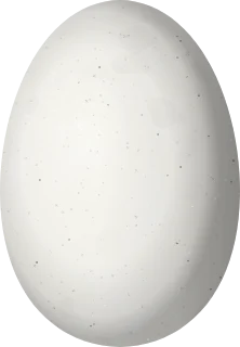 Illustration of a Blue-headed Hummingbird (Riccordia bicolor) egg, 13 × 9 mm