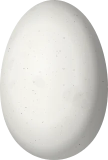 Illustration of a Blue-headed Sapphire (Chrysuronia grayi) egg, 13.2 × 8.9 mm