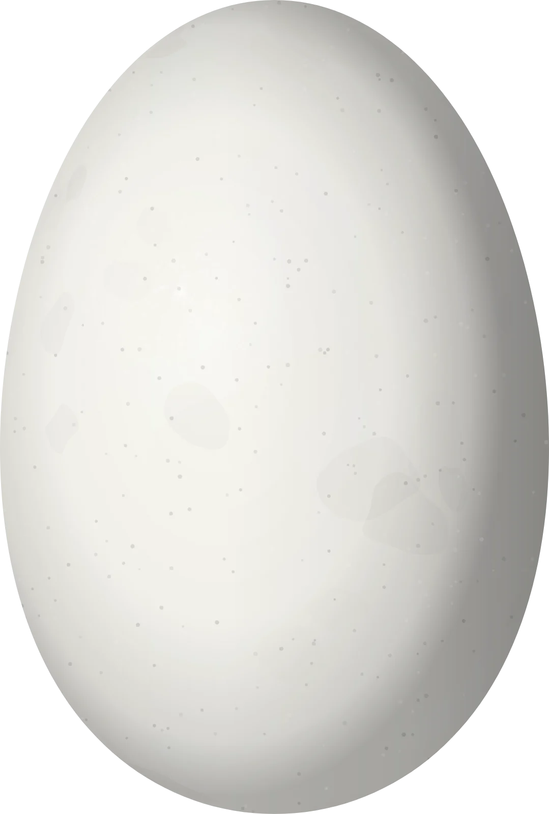 Illustration of a Blue-headed Sapphire (Chrysuronia grayi) egg, 13.2 × 8.9 mm