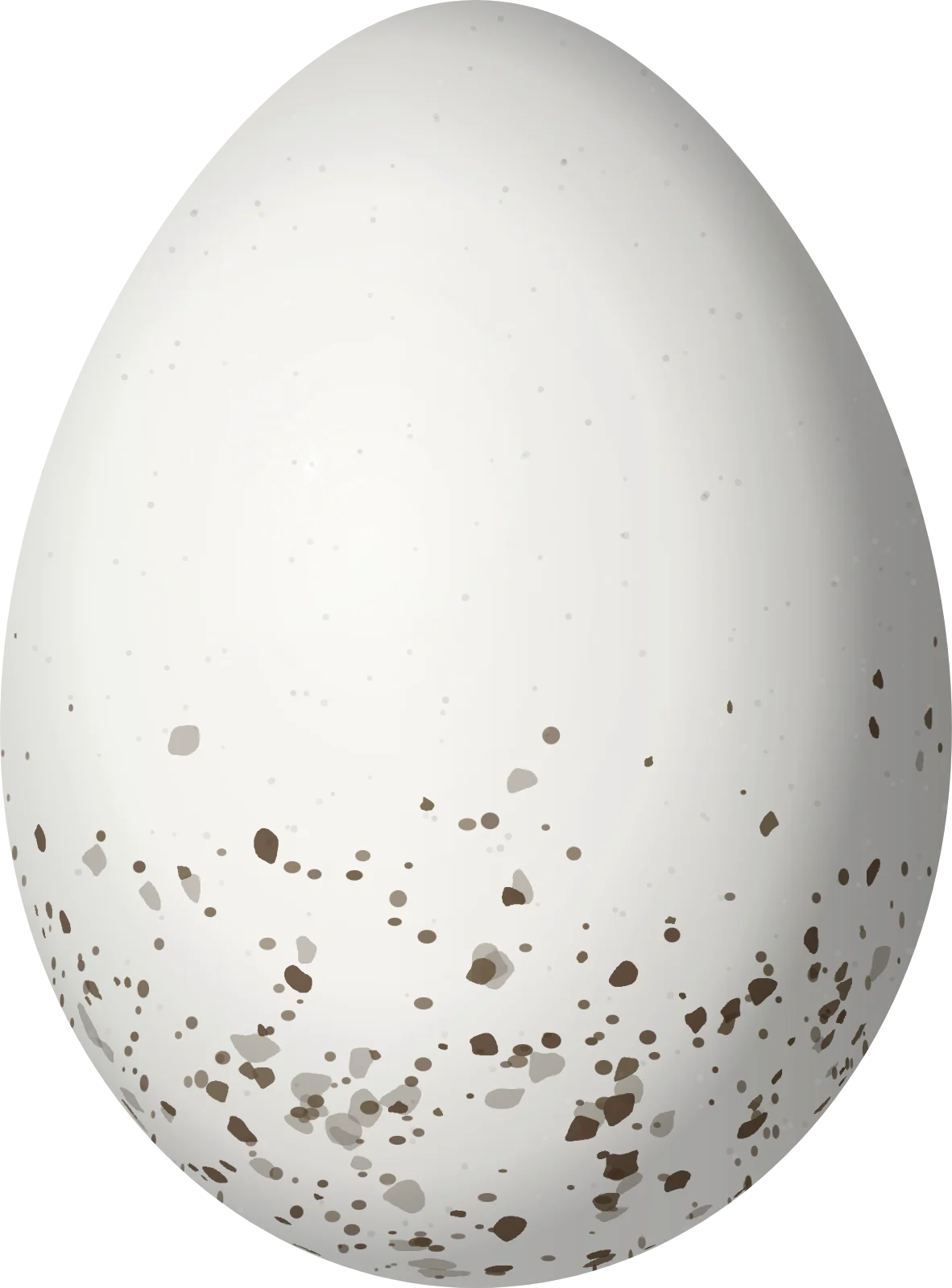 Illustration of a Blue-headed Vireo (Vireo solitarius) egg, 19.5 × 14.4 mm