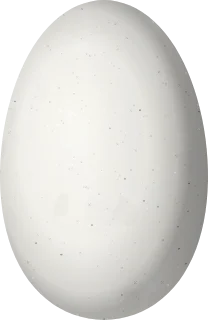 Illustration of a Blue-tailed Emerald (Chlorostilbon mellisugus) egg, 10 × 6.5 mm