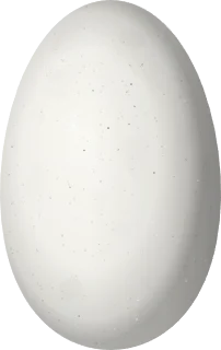 Illustration of a Blue-tailed Hummingbird (Saucerottia cyanura) egg, 14.4 × 9.1 mm