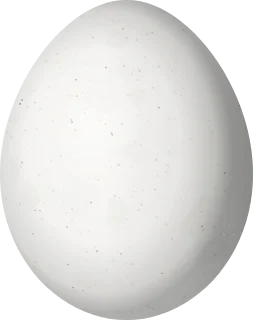 Illustration of a Blue-throated Motmot (Aspatha gularis) egg, 28.8 × 22.8 mm