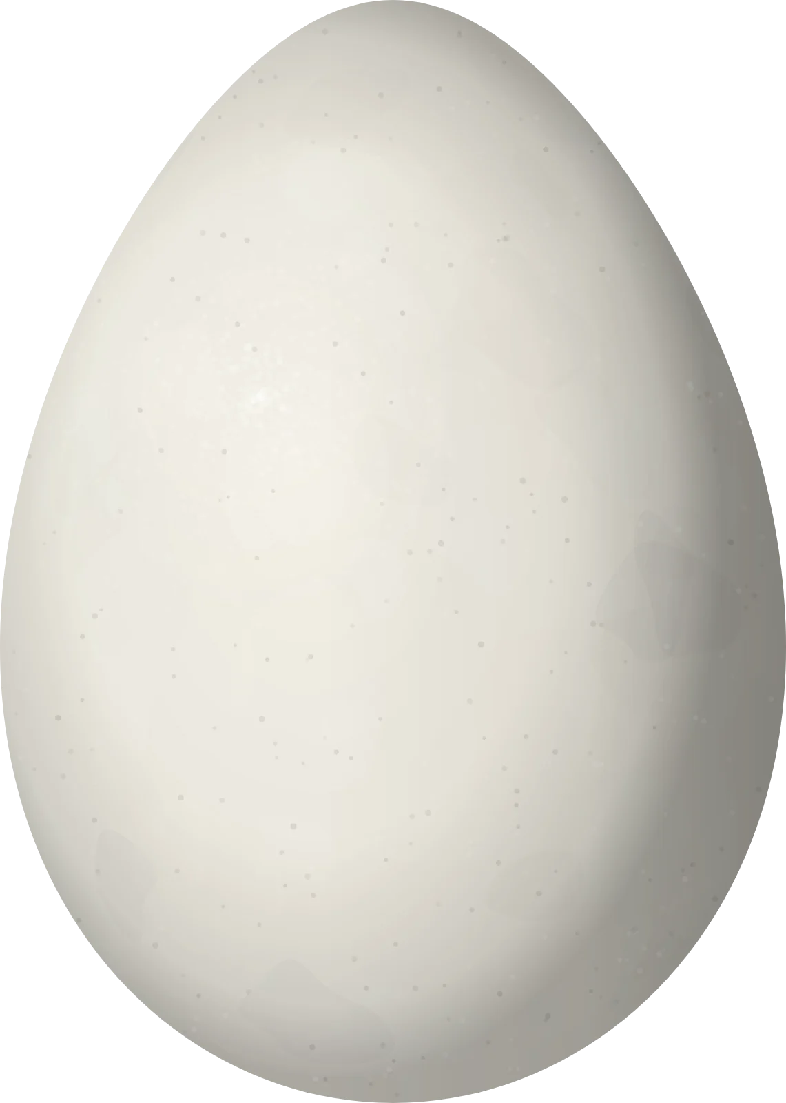 Illustration of a Blue-throated Piping Guan (Pipile cumanensis) egg, 69 × 49.2 mm