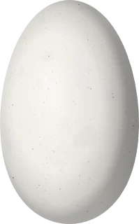 Illustration of a Blue-tufted Starthroat (Heliomaster furcifer) egg, 14.8 × 9.2 mm