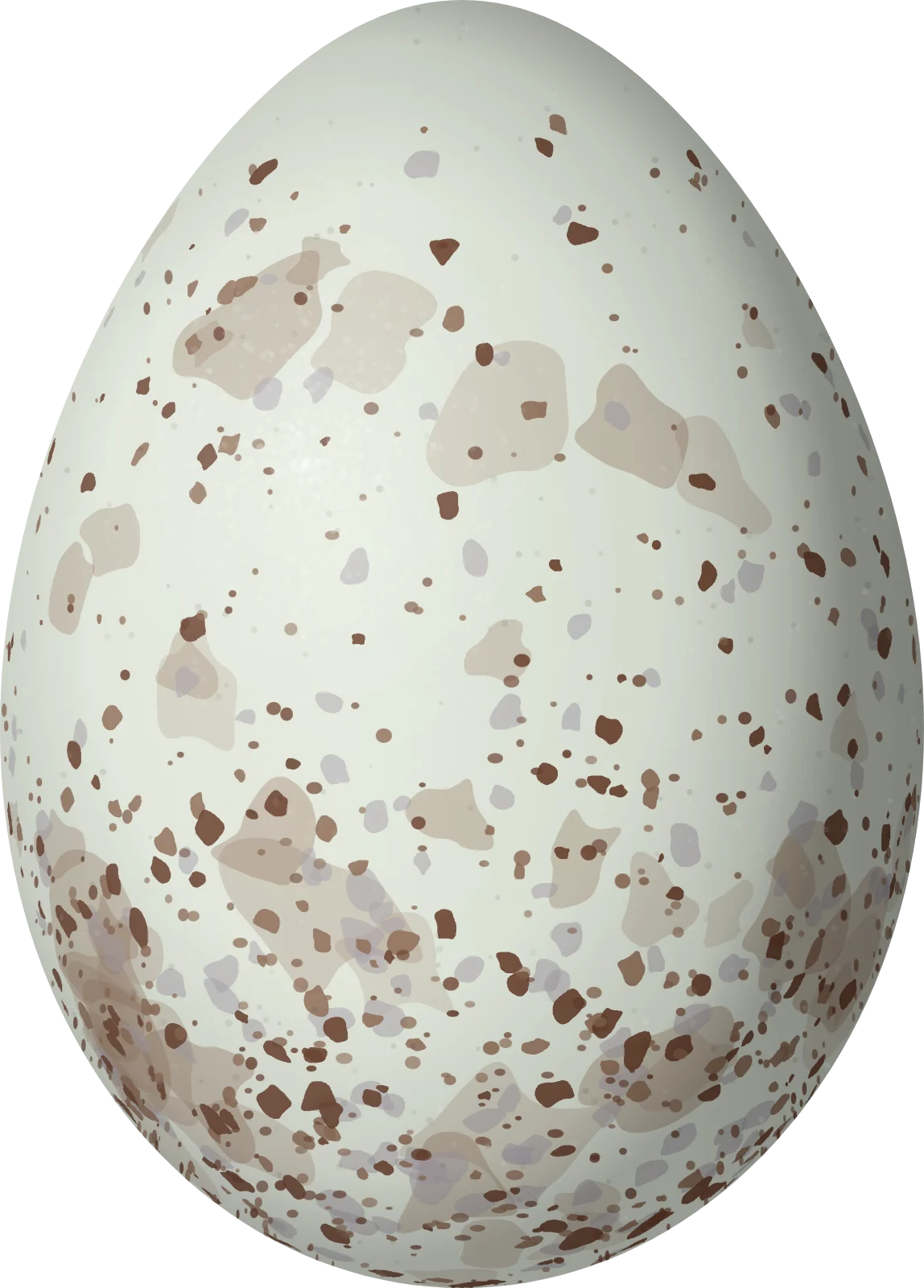 Illustration of a Blue-winged Mountain Tanager (Anisognathus somptuosus) egg, 23 × 16.5 mm