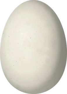 Blue-winged Teal egg, 46.6 × 33.4 mm