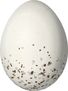 Blue-winged Warbler egg, 16 × 12 mm